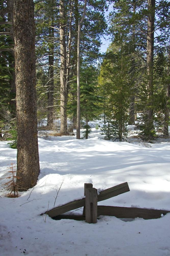 Truckee Donner Lodge Екстериор снимка